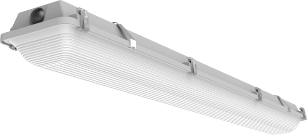 HZV