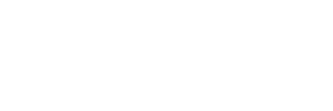 SYNAPSE